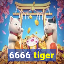 6666 tiger